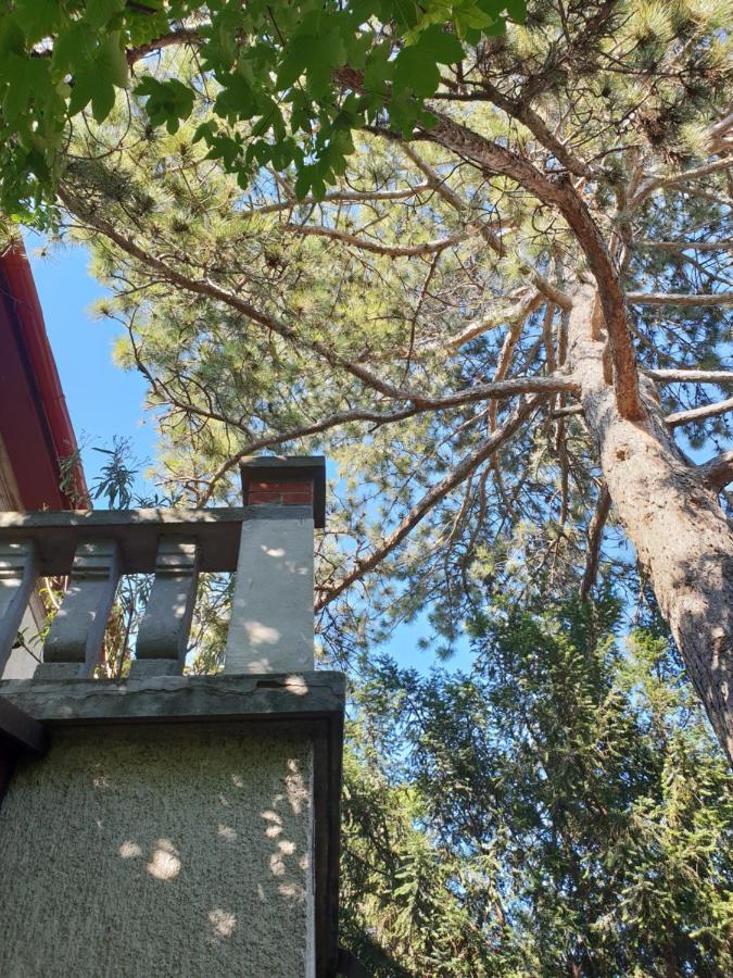 Kasza Villa Balatonfüred Exteriör bild