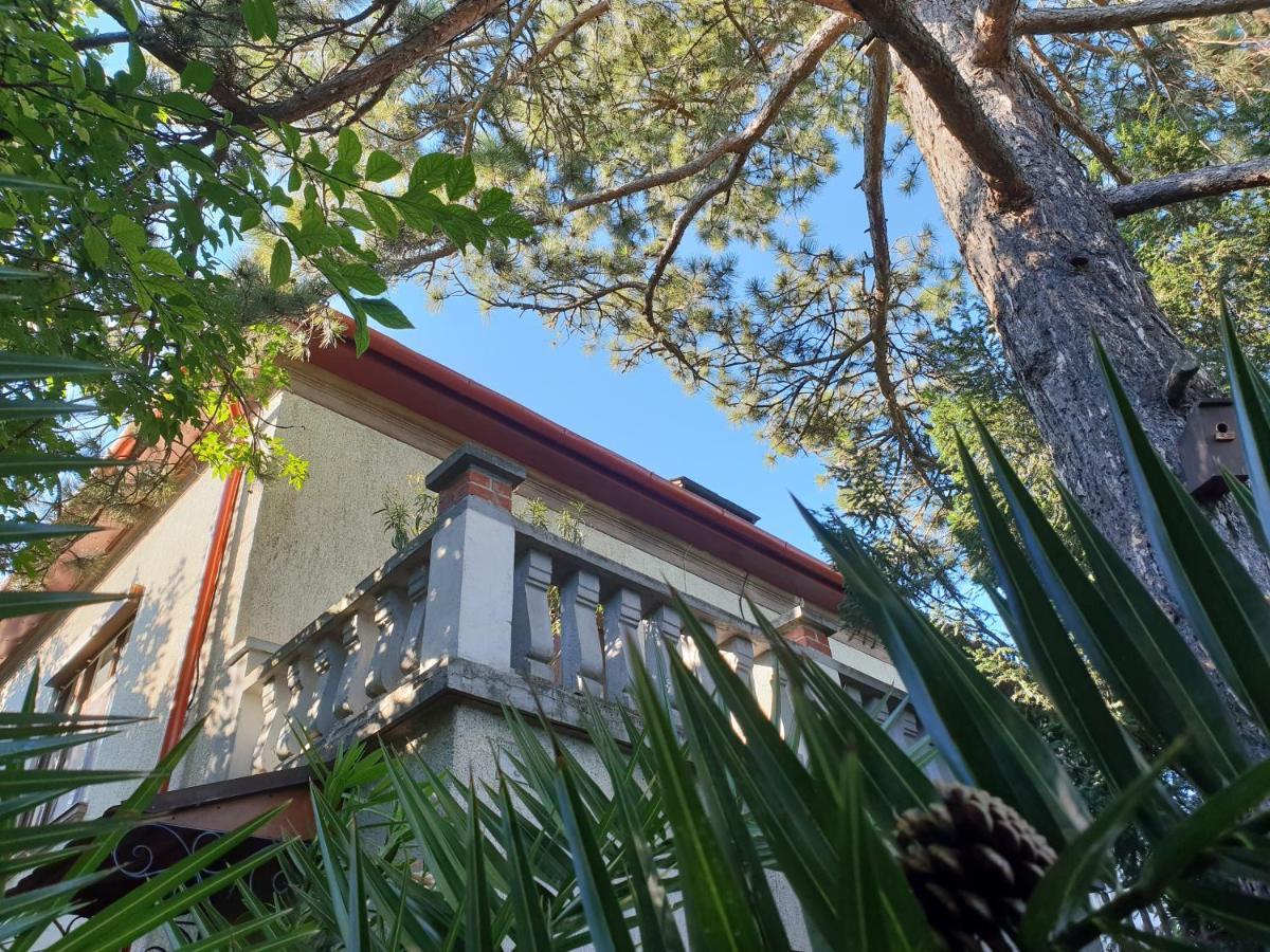 Kasza Villa Balatonfüred Exteriör bild