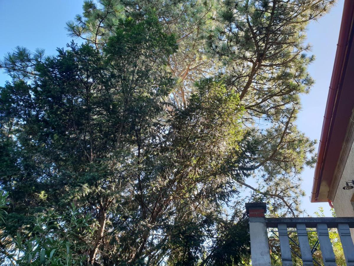 Kasza Villa Balatonfüred Exteriör bild