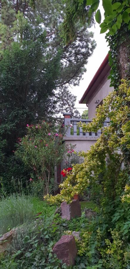 Kasza Villa Balatonfüred Exteriör bild