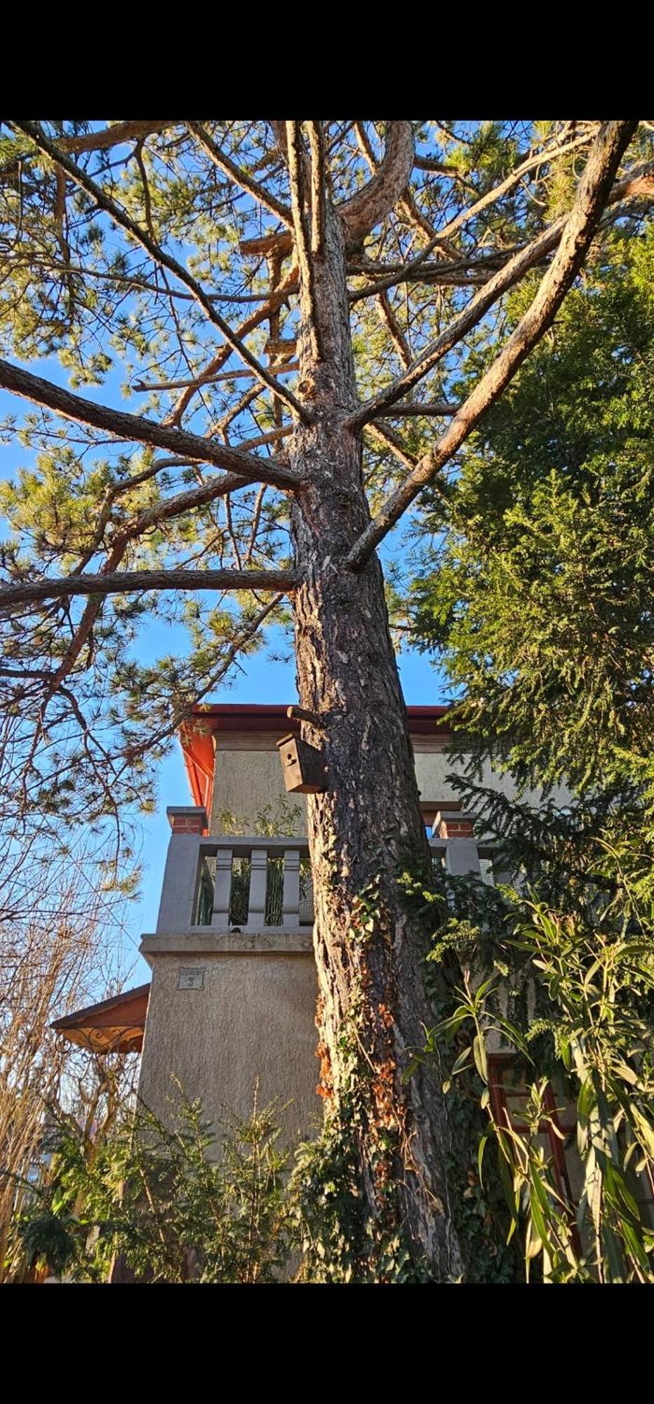 Kasza Villa Balatonfüred Exteriör bild